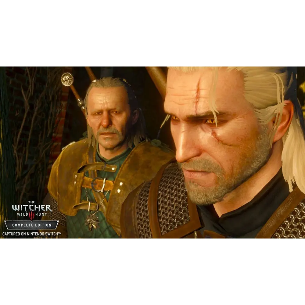 The Witcher 3 6